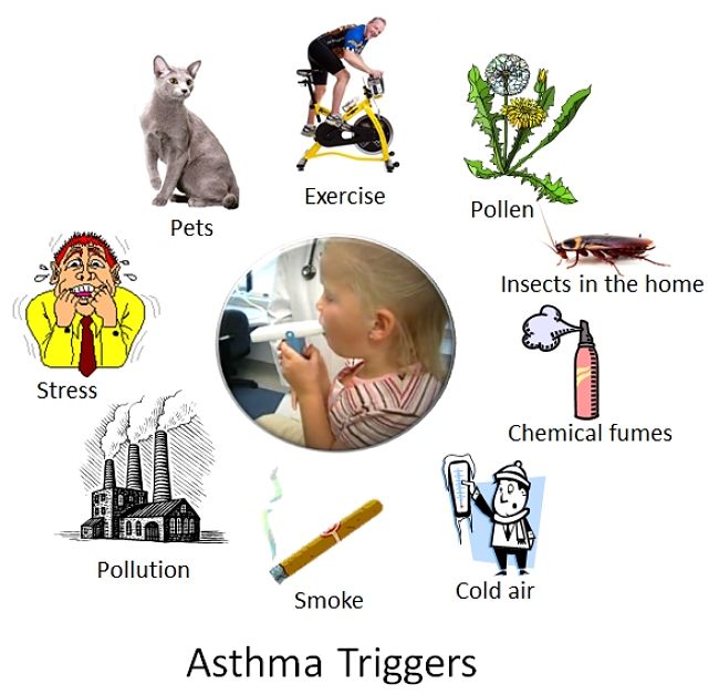 Triggers causing Asthma attacks. Discover why many children outgrow the symptoms in this article