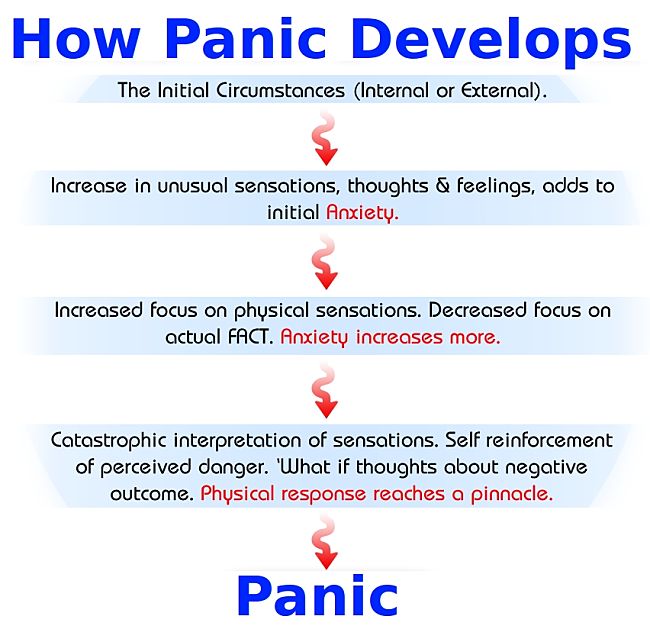 How Panic Develops