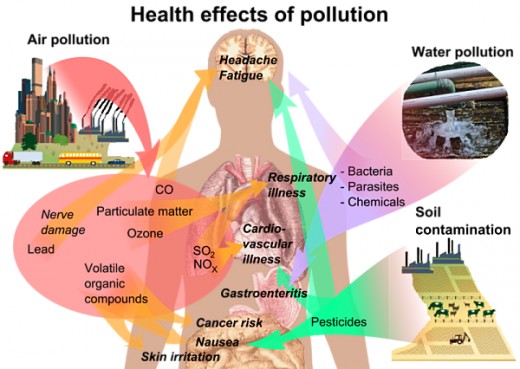 How pollution of various types, including pesticides impacts on various organs
