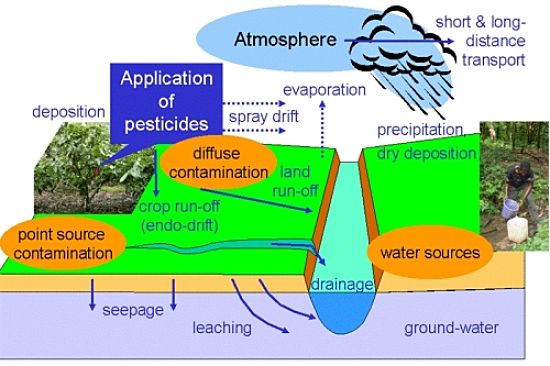 The way pesticide spreads through the environment