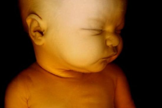 Baby at 21 weeks in the womb has well-developed ears and hearing