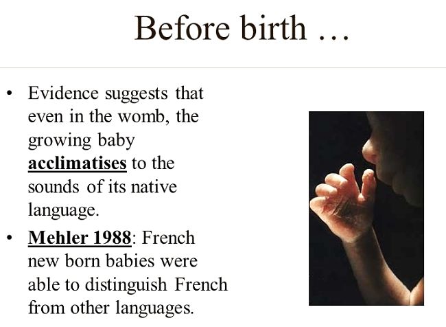 Learning languages starts in the womb