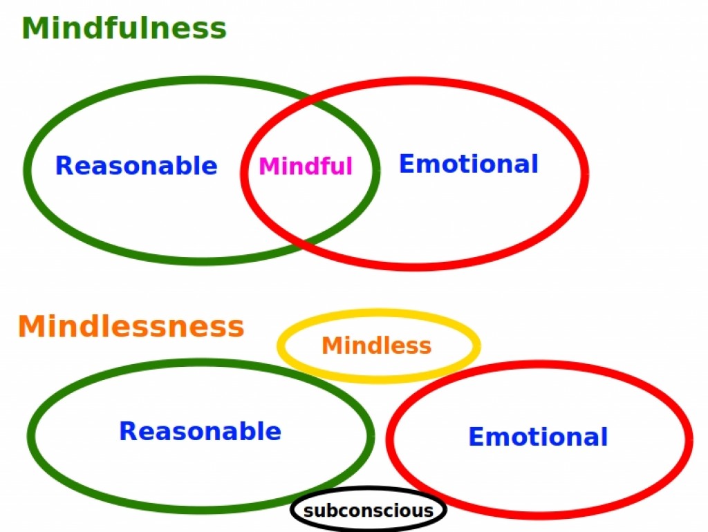 Mindfulness versus Mindlessness. Discover the difference and what is right for you.