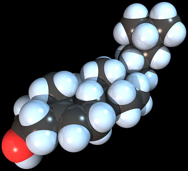 The Cholesterol molecule