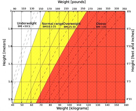 BMI Ranges