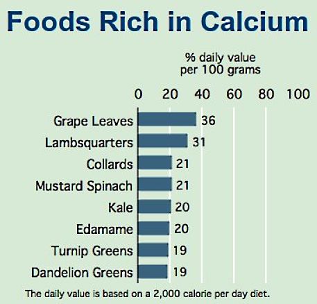 Foods that are Rich in Calcium