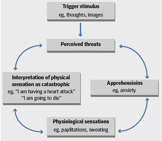 The Panic Cycle and Feed-back Loop