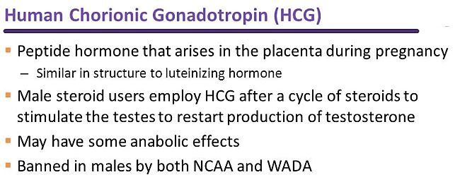 HCG peptide is a banned substance