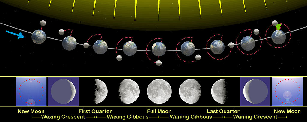 Phases of the Moon